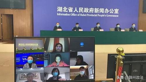 辽宁记者爆料新闻视频,揭秘新闻背后的真相  第3张