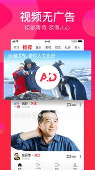 吃瓜挨揍视频大全下载免费,免费下载，揭秘网络暴力真相  第2张